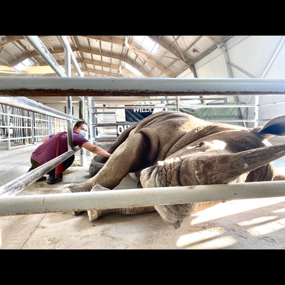 Meet your Posher, Kacie - Picture 1 of 1